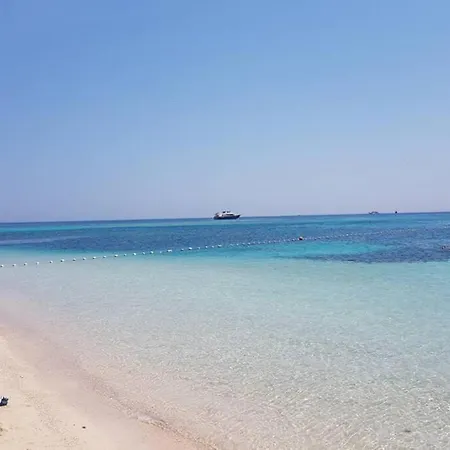 公寓 Bel Vue Sur Le Marin Avec Piscine