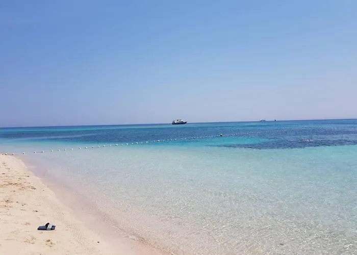 Appartamento Bel Vue Sur Le Marin Avec Piscine
